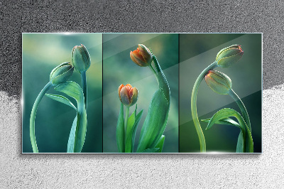 Tulips in shades of green Glass Wall Art