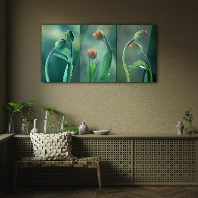 Tulips in shades of green Glass Wall Art