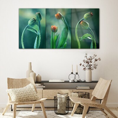 Tulips in shades of green Glass Wall Art
