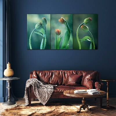 Tulips in shades of green Glass Wall Art