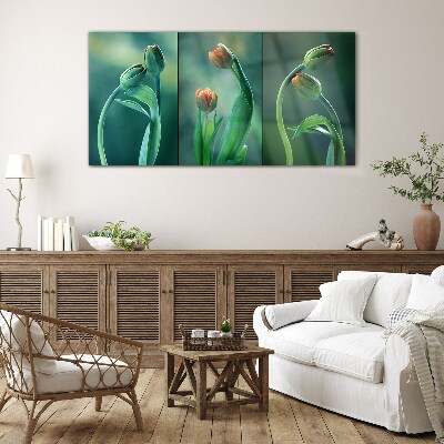 Tulips in shades of green Glass Wall Art