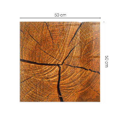 Corner glass hearth rectangular Wood grain in cross-section