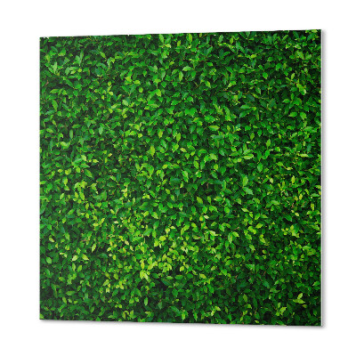 Pvc wall panel square Green wall of vegetation
