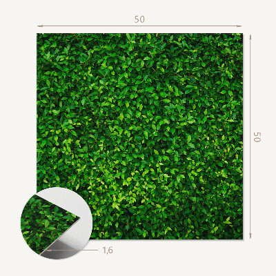 Pvc wall panel square Green wall of vegetation
