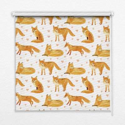 Window blind Foxes