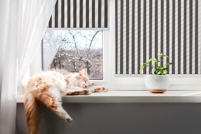 Roller blind for window Black and white stripes