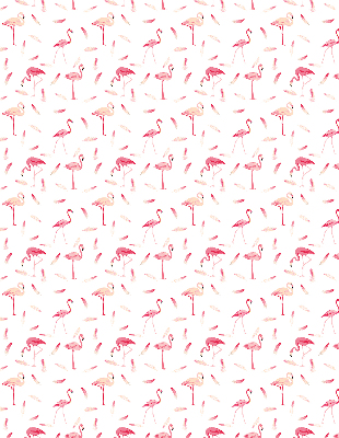 Roller blind Flamingos and their feathers