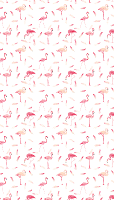 Roller blind Flamingos and their feathers