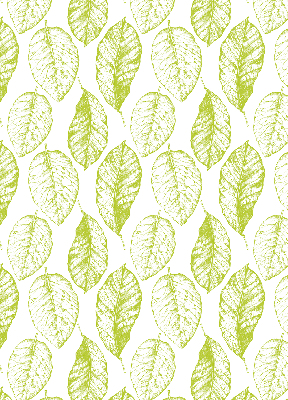 Kitchen roller blind Lime leaves