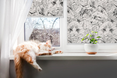 Roller blind Drawn cats