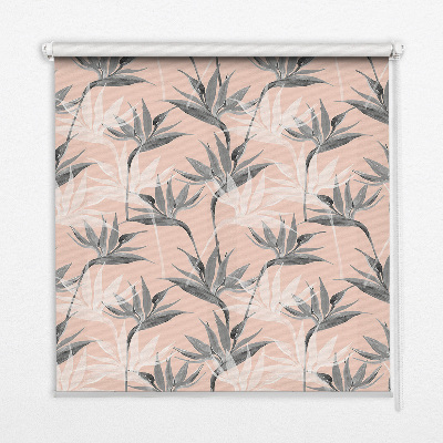 Daylight roller blind Gray flowers