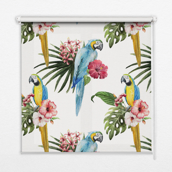 Window blind Parrot on flowers