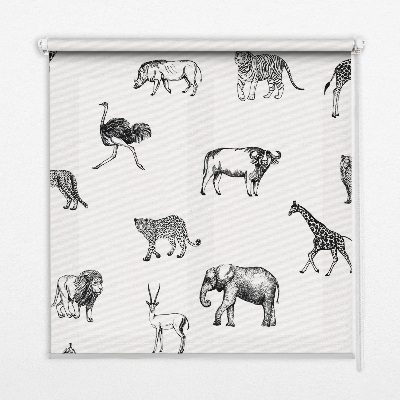 Roller blind for window Animals