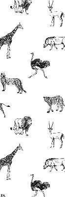 Roller blind for window Animals