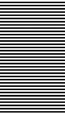 Blind for window Black stripes