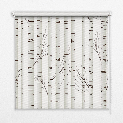 Roller blind for window Birch