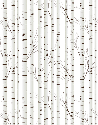 Roller blind for window Birch