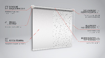 Daylight roller blind Dots