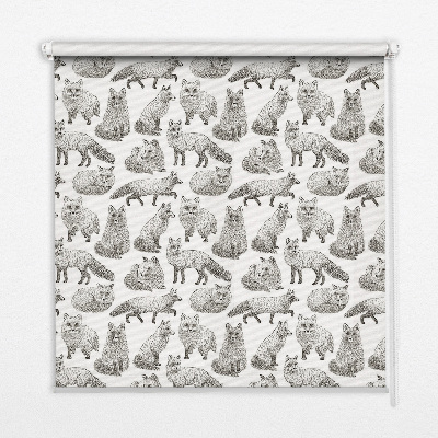 Window blind Gray foxes