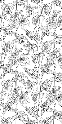 Window blind Sketched flowers