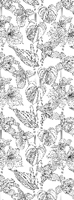 Window blind Sketched flowers