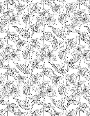 Window blind Sketched flowers