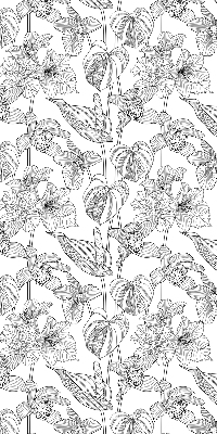 Window blind Sketched flowers