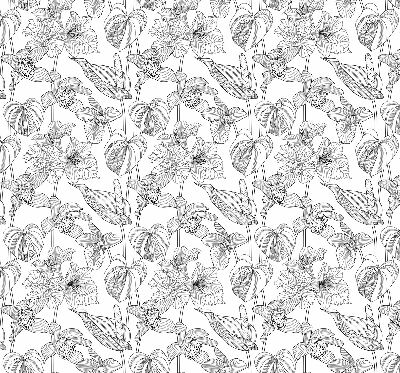 Window blind Sketched flowers