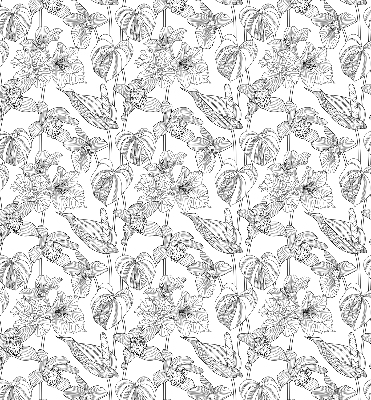 Window blind Sketched flowers