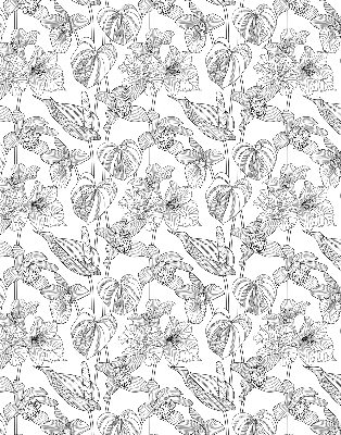 Window blind Sketched flowers