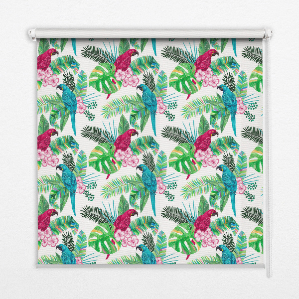 Kitchen roller blind Parrot