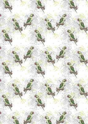 Daylight roller blind Parrots on a branch