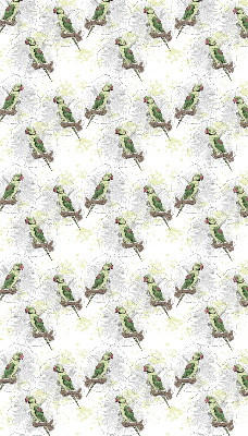 Daylight roller blind Parrots on a branch