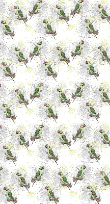 Daylight roller blind Parrots on a branch