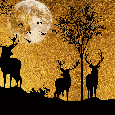 Roller blind Deer at night