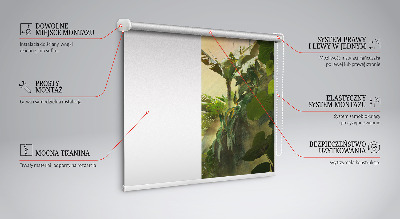 Window blind Vegetable frame