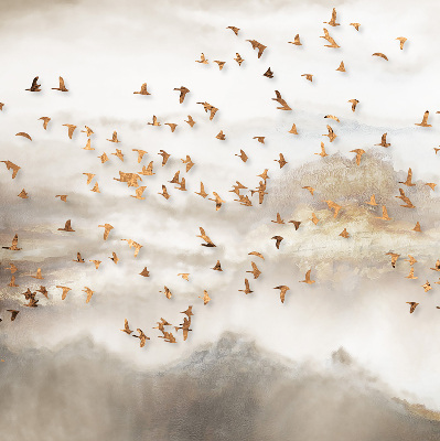 Roller blind for window A herd of birds