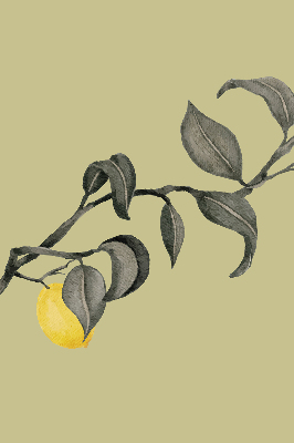 Roller blind Lemons on a tree