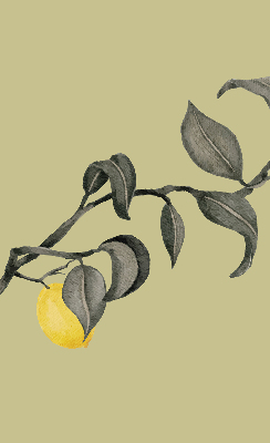 Roller blind Lemons on a tree