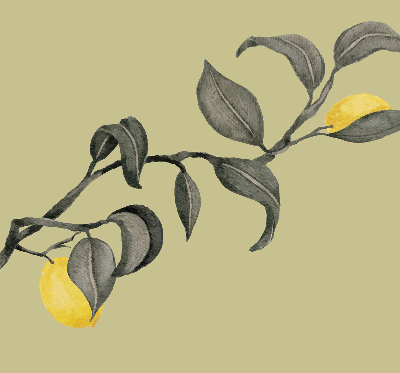 Roller blind Lemons on a tree