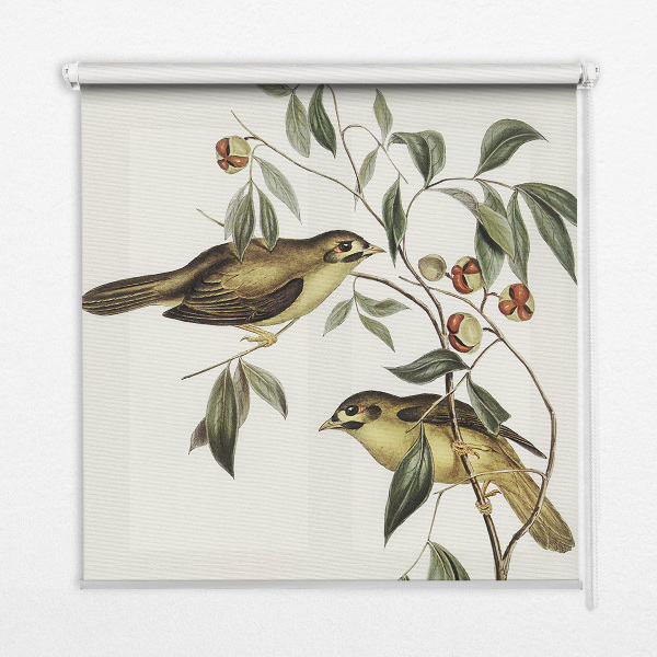 Window blind Birds on a tree