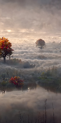 Roller blind for window Trees in the fog