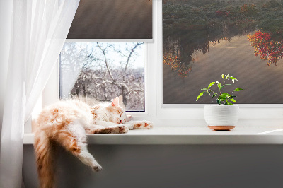 Roller blind for window Sunset behind the trees