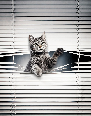 Roller blind for window Cat
