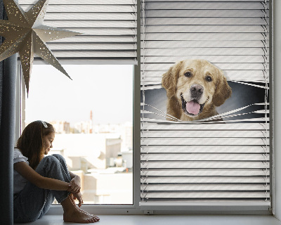 Roller blind for window Golden dog