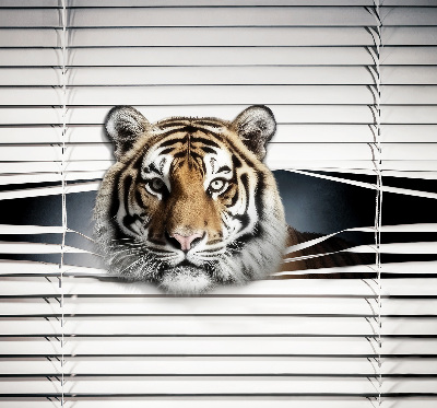 Roller blind for window Tiger