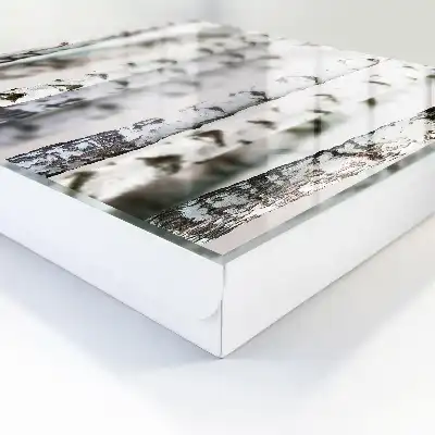 Wall mounted key box Birch trunks as a background