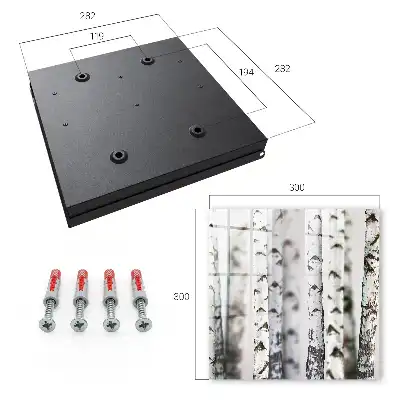 Wall mounted key box Birch trunks as a background