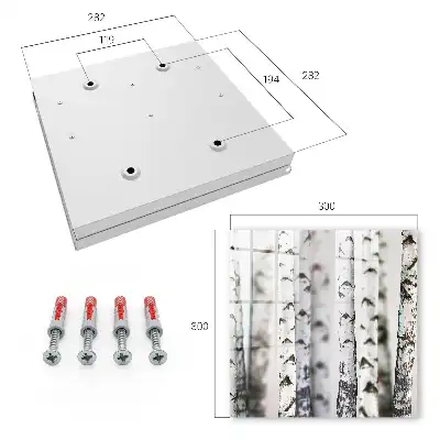 Wall mounted key box Birch trunks as a background