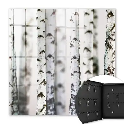 Wall mounted key box Birch trunks as a background